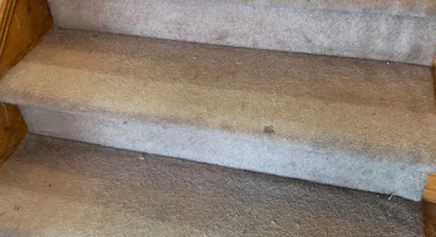 carpet stairs lg