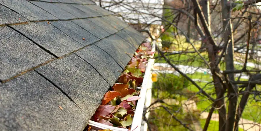 Do You Need Gutters Cleaning?