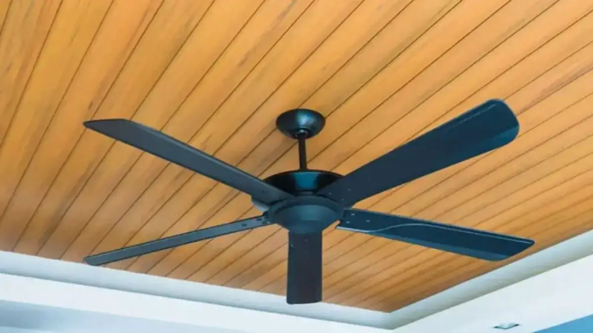 Ceiling Fan Direction for Summer & Winter: Best Practices