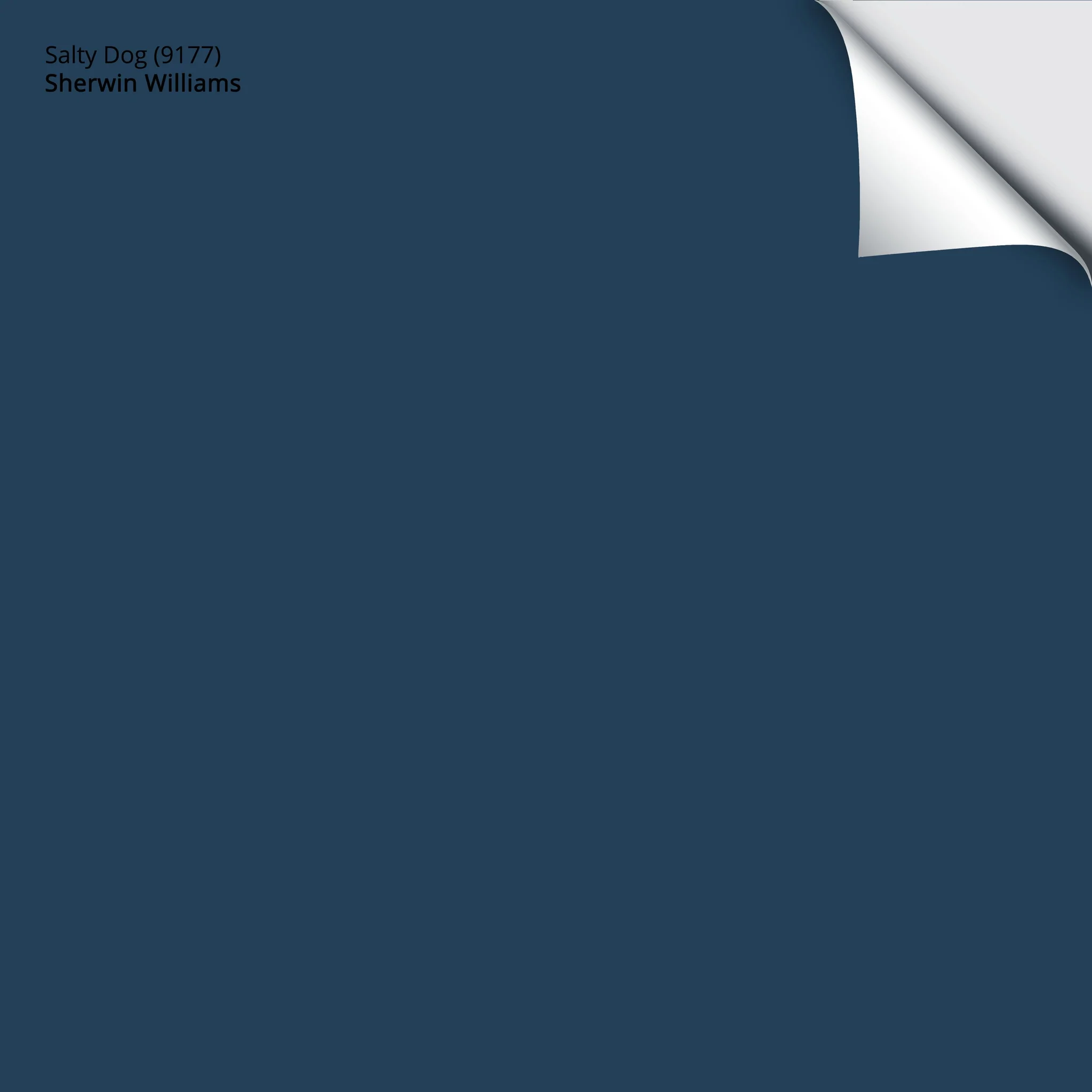 Salty Dog (9177) | Sherwin-Williams | Samplize Peel and Stick Paint Sample