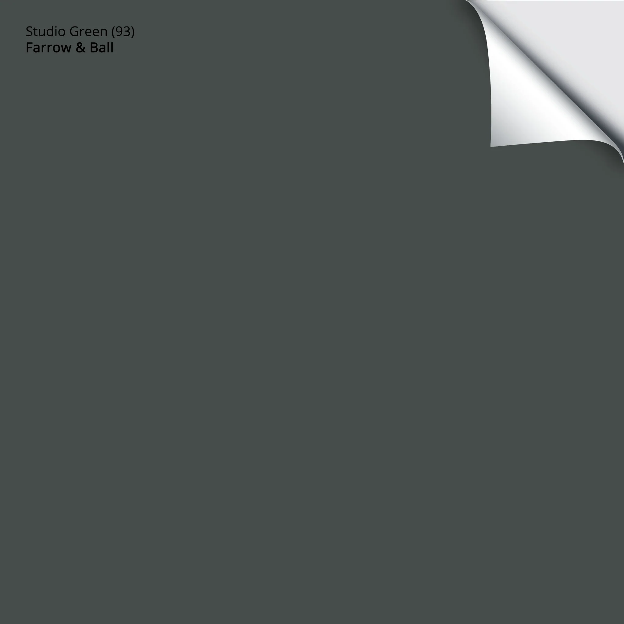 Studio Green (93) | Farrow & Ball | Samplize Peel and Stick Paint Sample
