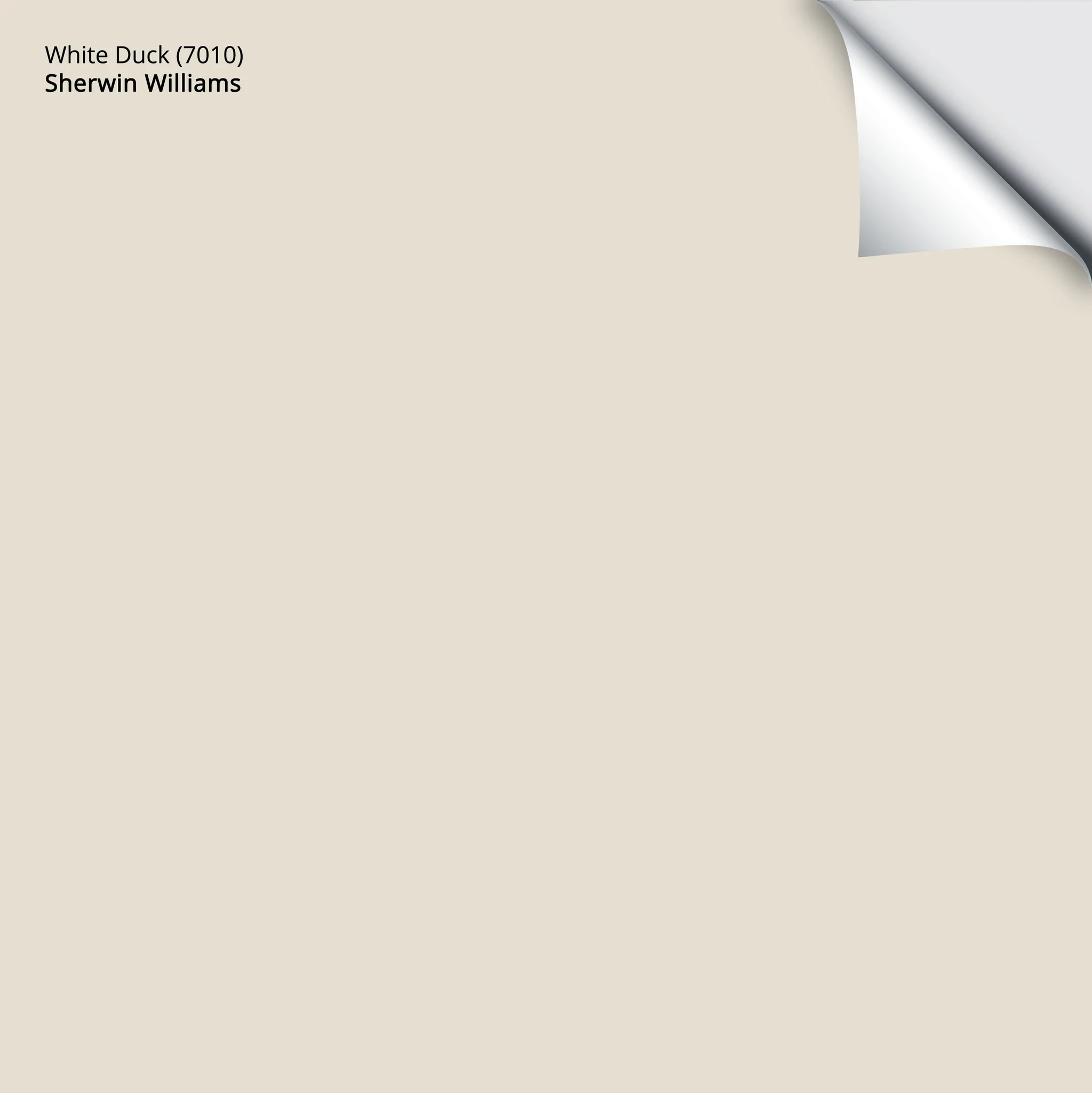 White Duck (7010) | Sherwin-Williams | Samplize Peel and Stick Paint Sample