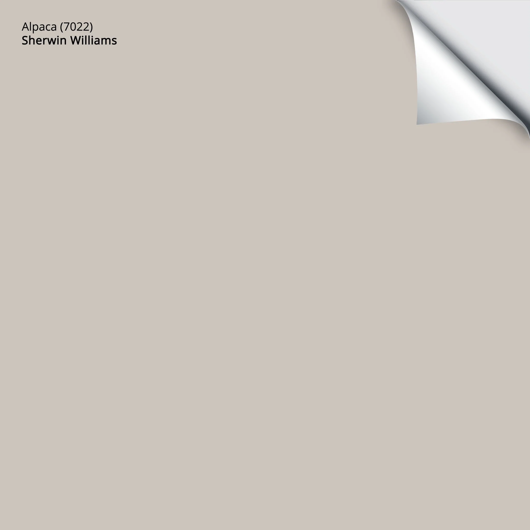 Alpaca (7022) | Sherwin-Williams | Samplize Peel and Stick Paint Sample