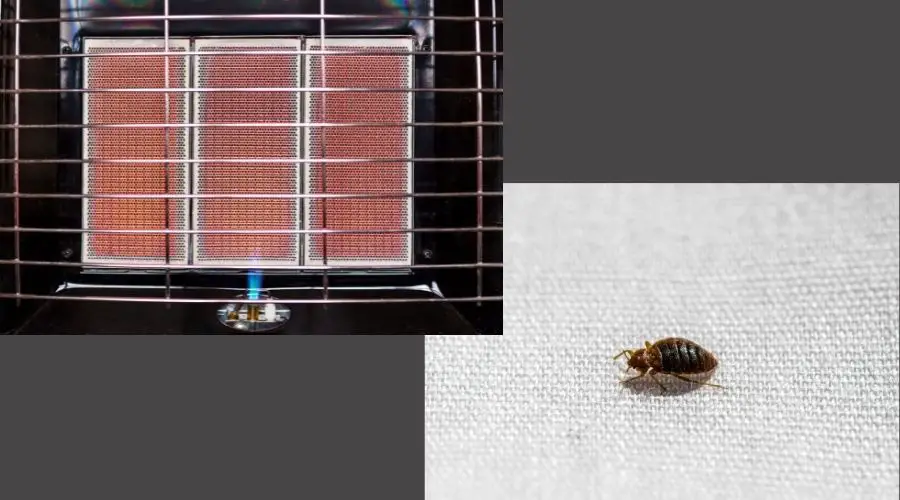 propane heater vs bed bug lg