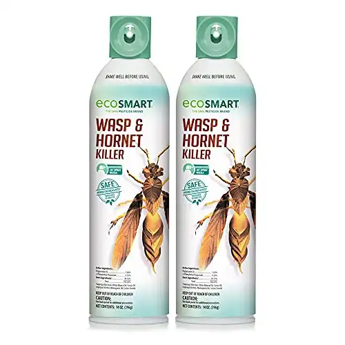 EcoSmart Wasp & Hornet Killer 14 oz. Aerosol (2 Pack)
