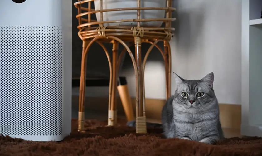 air purifiers for cat lovers