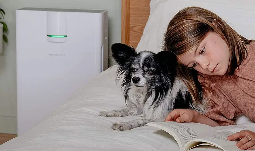 best air cleaner for dog lovers