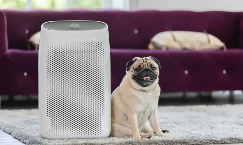 best pet air purifier
