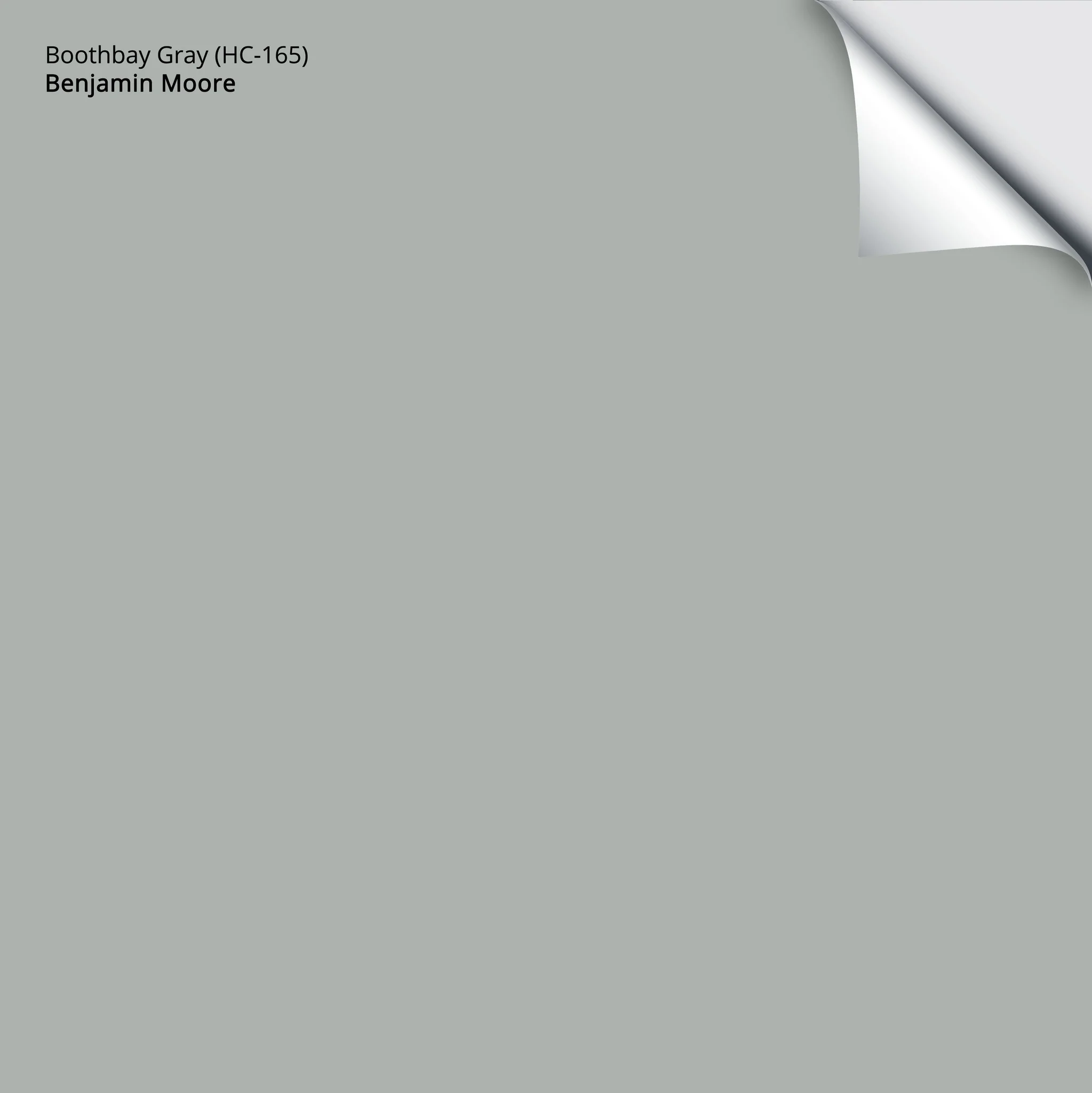 Boothbay Gray (HC-165) | Benjamin Moore | Samplize Peel and Stick Paint Sample