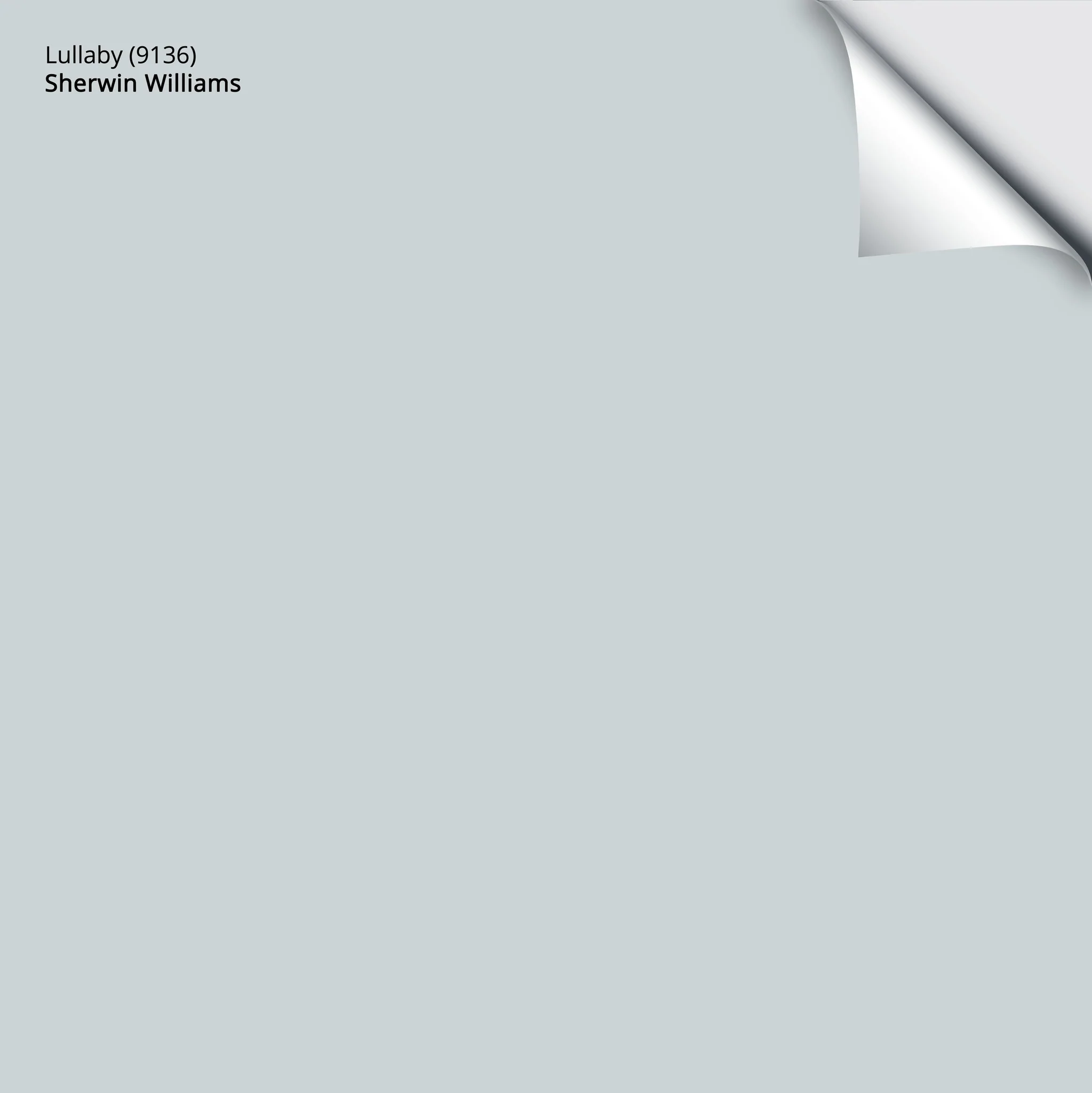 Lullaby (9136) | Sherwin-Williams | Samplize Peel and Stick Paint Sample