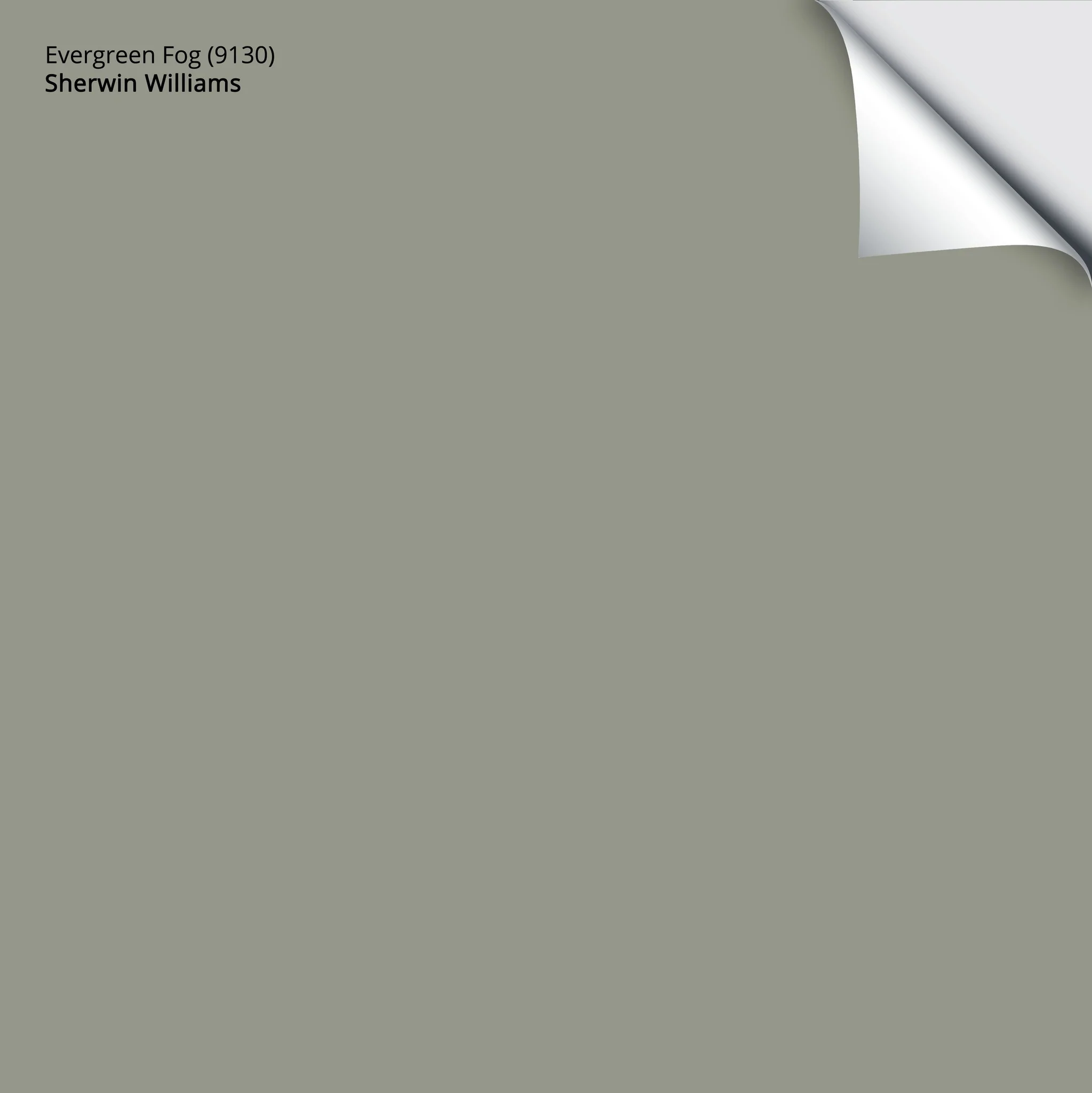 Evergreen Fog (9130) | Sherwin-Williams | Samplize Peel and Stick Paint Sample