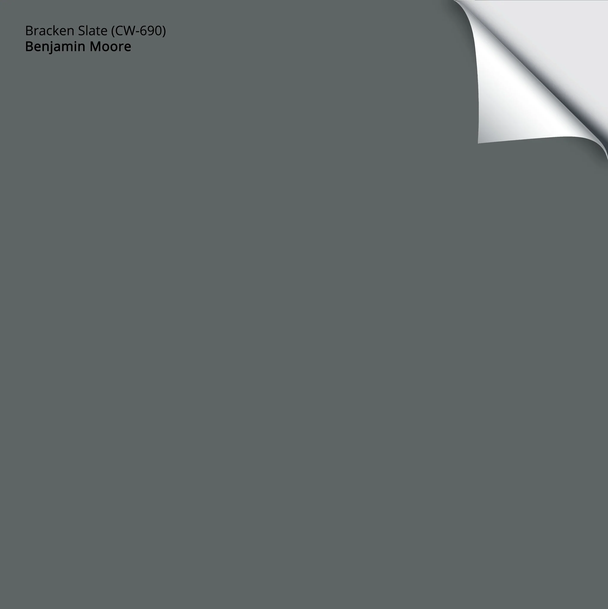 Bracken Slate (CW-690) | Benjamin Moore | Samplize Peel and Stick Paint Sample