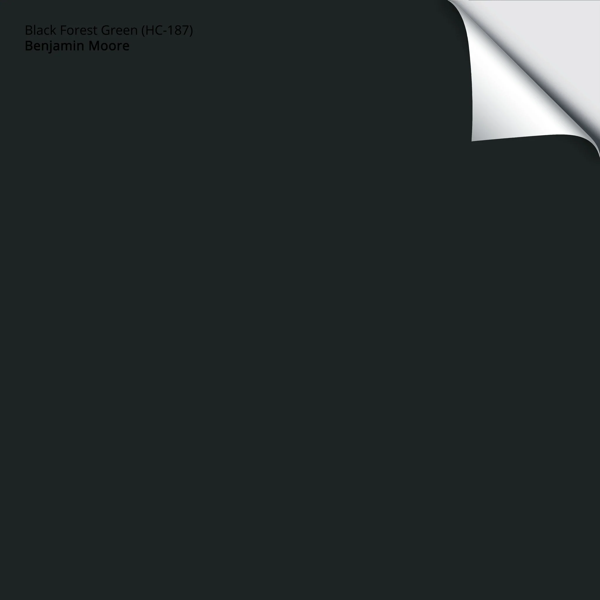 Black Forest Green (HC-187) | Benjamin Moore | Samplize Peel and Stick Paint Sample