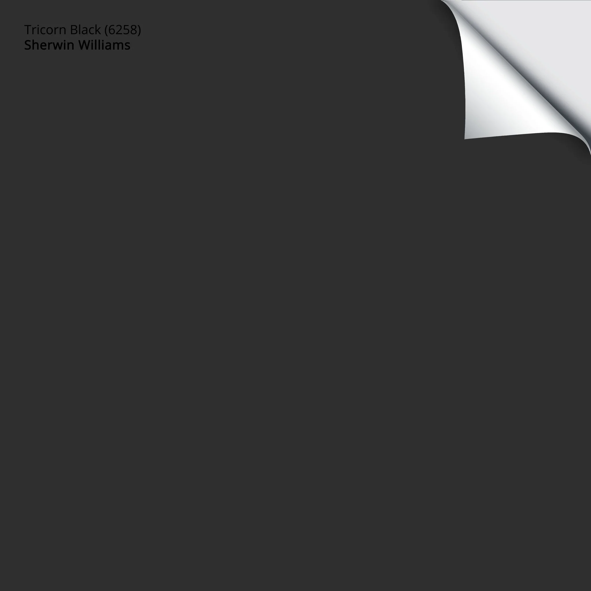 Tricorn Black (6258) | Sherwin-Williams | Samplize Peel and Stick Paint Sample
