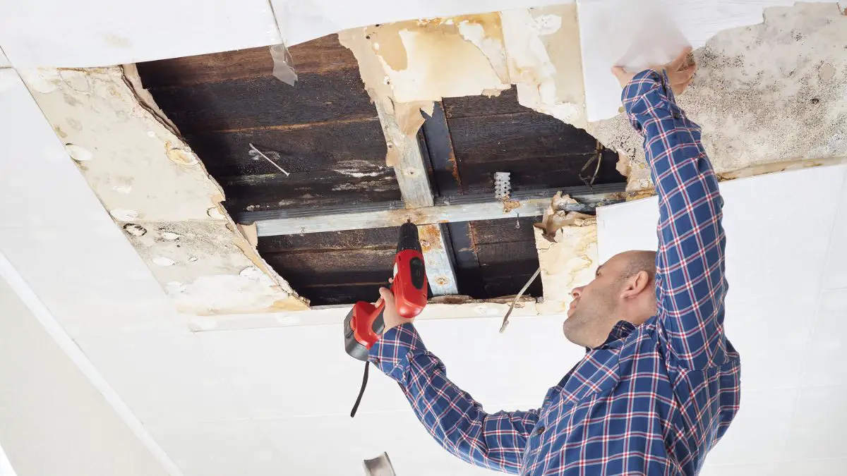 Is water damage repairable - Ceiling panels damaged huge hole in roof from rainwater leakage