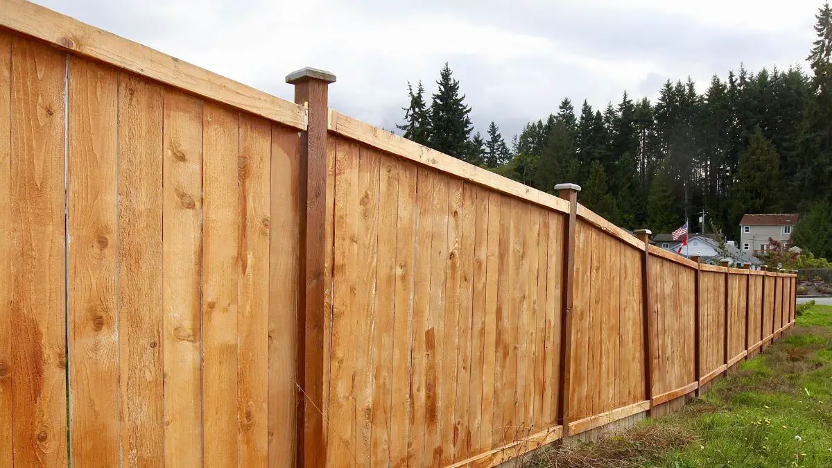 cheapest fence material
