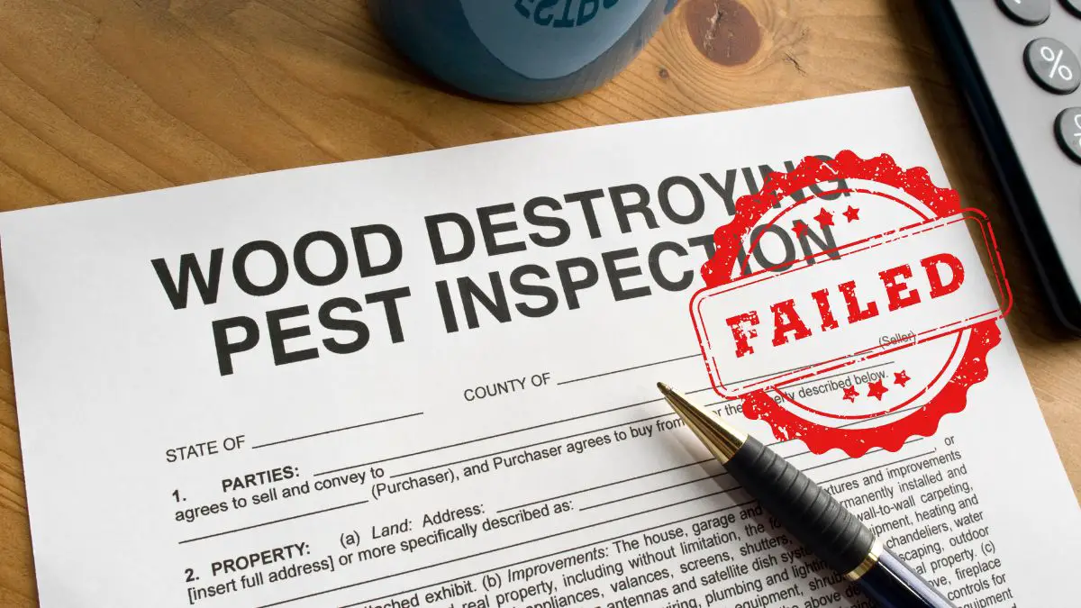 house failed termite inspection - a wood destroying pest inspection report paper with failed mark
