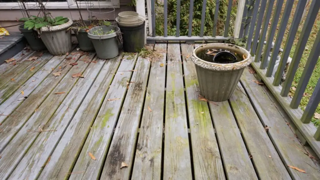 How to stop wood rot on deck. Green algae on deck.