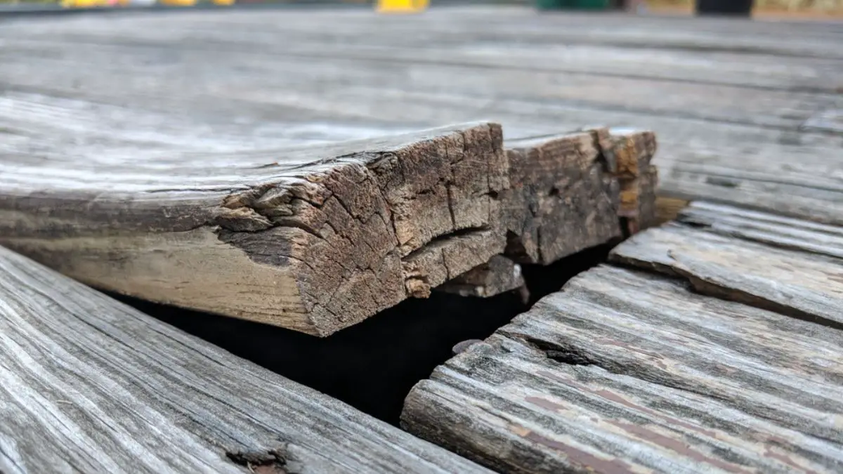 wood rot wood deck