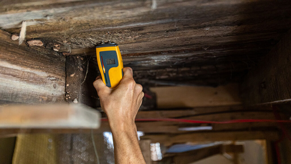 using moisture meter to detect wood moisture and mold